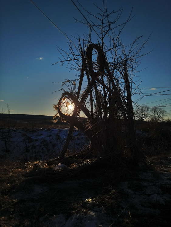 I-nature